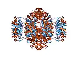 1wpl: Crystal structure of the inhibitory form of rat GTP cyclohydrolase I/GFRP complex