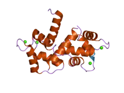 1wrz: Calmodulin complexed with a peptide from a human death-associated protein kinase