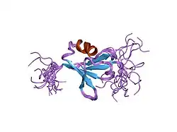 1wxm: Solution Structure of the N-terminal Ras-binding Domain (RBD) in Human a-Raf Kinase