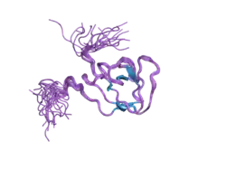 1wxu: Solution structure of the SH3 domain of mouse peroxisomal biogenesis factor 13