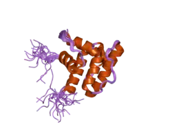 1wyr: Solution structure of the CH domain of human Rho guanine nucleotide exchange factor 6
