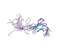 1x4z: Solution structure of the 2nd fibronectin type III domain from mouse biregional cell adhesion molecule-related/down-regulated oncogenes (Cdon) binding protein