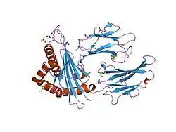 1x7q: Crystal structure of HLA-A*1101 with sars nucleocapsid peptide