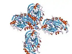 1xn3: Crystal structure of Beta-secretase bound to a long inhibitor with additional upstream residues.