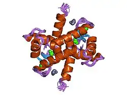 1xyd: NMR Solution Structure of Rat Zinc-Calcium-S100B, 20 Structures