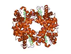 1xye: T-to-THigh Transitions in Human Hemoglobin: alpha Y42A deoxy low salt