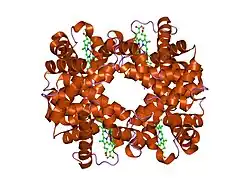 1y4f: T-To-T(High) quaternary transitions in human hemoglobin: betaW37A deoxy low-salt (10 test sets)