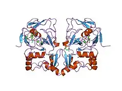 1y4j: Crystal structure of the paralogue of the human formylglycine generating enzyme