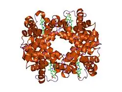 1y4v: T-To-T(High) quaternary transitions in human hemoglobin: betaC93A deoxy low-salt (1 test set)