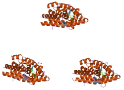 1ya3: Crystal structure of the human mineralocorticoid receptor ligand-binding domain bound to progesterone and harboring the S810L mutation responsible for a severe form of hypertension