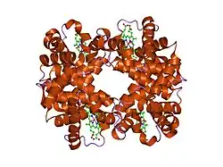1yie: T-to-thigh quaternary transitions in human hemoglobin: betaW37A oxy (2.2MM IHP, 13% PEG) (1 test set)