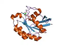 1z22: GDP-Bound Rab23 GTPase crystallized in C222(1) space group