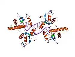 1zh5: Structural basis for recognition of UUUOH 3'-termini of nascent RNA pol III transcripts by La autoantigen