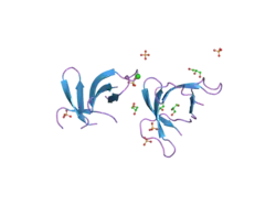1zmp: Crystal structure of human defensin-5