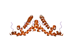 2a72: Structure of the regulator of G-protein signaling domain of RGS7