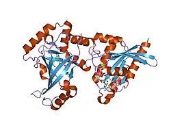 2a9k: Crystal structure of the C3bot-NAD-RalA complex reveals a novel type of action of a bacterial exoenzyme