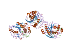2aes: Crystal Structure of Human M340H-Beta1,4-Galactosyltransferase-I (M340H-B4Gal-T1) in Complex with GlcNAc-beta1,2-Man-alpha1,3-Man-beta-OR