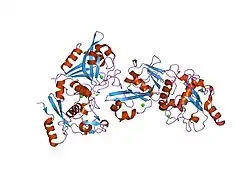 2ary: Catalytic domain of Human Calpain-1