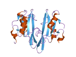 2aug: Crystal structure of the Grb14 SH2 domain