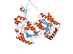 2axn: Crystal structure of the human inducible form 6-phosphofructo-2-kinase/fructose-2,6-bisphosphatase