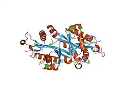 2b5g: Wild Type SSAT- 1.7A structure