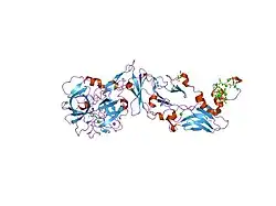 2b8o: Crystal Structure of Glu-Gly-Arg-Chloromethyl Ketone-Factor VIIa/Soluble Tissue Factor Complex