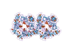 2bdi: Human Kallikrein 4 complex with cobalt and p-aminobenzamidine