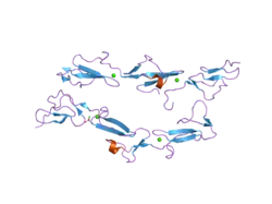 2bo2: EGF DOMAINS 1,2,5 OF HUMAN EMR2, A 7-TM IMMUNE SYSTEM MOLECULE, IN COMPLEX WITH CALCIUM.