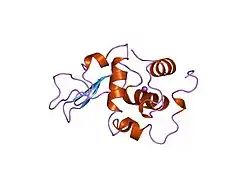 2bqc: CONTRIBUTION OF HYDROPHOBIC EFFECT TO THE CONFORMATIONAL STABILITY OF HUMAN LYSOZYME