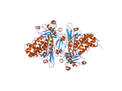 2bra: STRUCTURE OF N-TERMINAL FAD BINDING MOTIF OF MOUSE MICAL