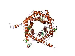 2bsk: CRYSTAL STRUCTURE OF THE TIM9 TIM10 HEXAMERIC COMPLEX