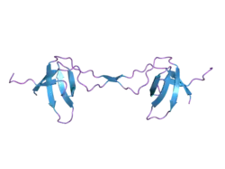 2bzy: DIMERIC OF CRKL-SH3C DOMAIN