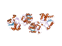 2c46: CRYSTAL STRUCTURE OF THE HUMAN RNA GUANYLYLTRANSFERASE AND 5'-PHOSPHATASE