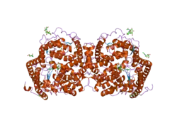 2c6n: STRUCTURE OF HUMAN SOMATIC ANGIONTENSIN-I CONVERTING ENZYME N DOMAIN WITH LISINOPRIL