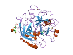 2c90: THROMBIN INHIBITORS