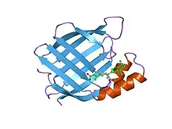 2cbs: CELLULAR RETINOIC ACID BINDING PROTEIN II IN COMPLEX WITH A SYNTHETIC RETINOIC ACID (RO-13 6307)