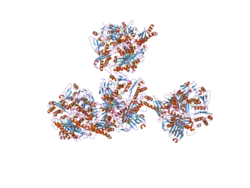 2ckj: HUMAN MILK XANTHINE OXIDOREDUCTASE