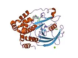 2cng: STRUCTURAL INSIGHTS INTO THE DESIGN OF NONPEPTIDIC ISOTHIAZOLIDINONE-CONTAINING INHIBITORS OF PROTEIN TYROSINE PHOSPHATASE 1B