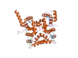 2ct9: The crystal structure of calcineurin B homologous proein 1 (CHP1)
