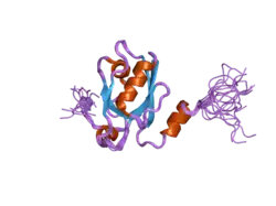 2daz: Solution structure of the 7th PDZ domain of InaD-like protein