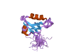 2dkr: Solution structure of the PDZ domain from human Lin-7 homolog B