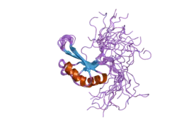2dnk: Solution structure of RNA binding domain in Bruno-like 4 RNA binding protein