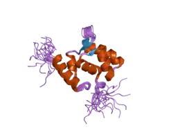 2doa: Solution structure of the helical domain in human Eleven-nineteen lysine-rich leukemia protein ELL