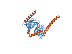 2ela: Crystal Structure of the PTB domain of human APPL1