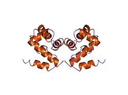 2ezx: SOLUTION STRUCTURE OF HUMAN BARRIER-TO-AUTOINTEGRATION FACTOR BAF, NMR, REGULARIZED MEAN STRUCTURE
