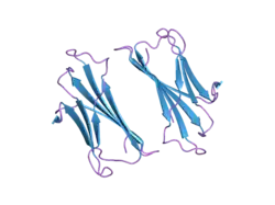 2f8o: A Native to Amyloidogenic Transition Regulated by a Backbone Trigger