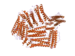 2fg8: Structure of Human Ferritin L Chain