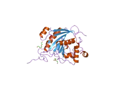 2fy7: Crystal structure of the catalytic domain of the human beta1,4-galactosyltransferase mutant M339H in apo form