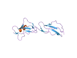 2g7i: Structure of Human Complement Factor H Carboxyl Terminal Domains 19-20: a Basis for Atypical Hemolytic Uremic Syndrome