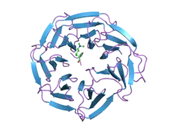 2g9a: Structural basis for the specific recognition of methylated histone H3 lysine 4 by the WD-40 protein WDR5